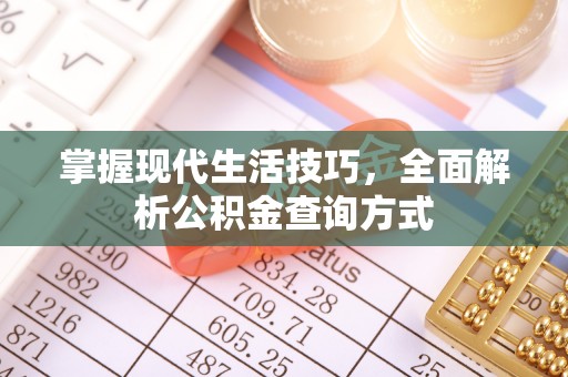 东明掌握现代生活技巧，全面解析公积金查询方式