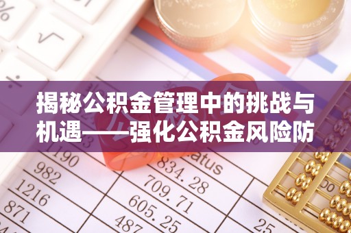 东明揭秘公积金管理中的挑战与机遇——强化公积金风险防控的多维策略