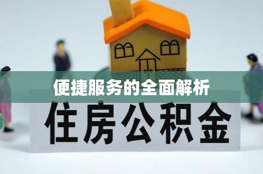 东明便捷服务的全面解析