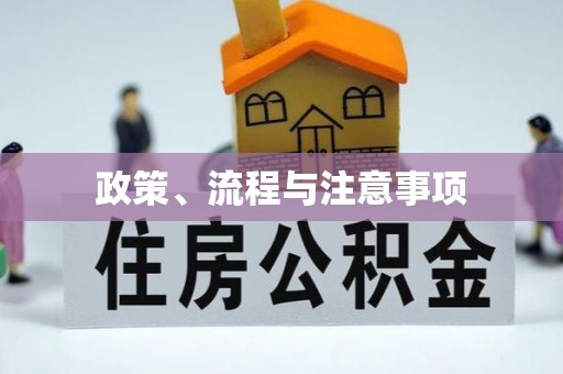 东明政策、流程与注意事项