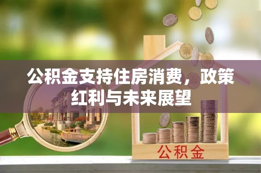 东明公积金支持住房消费，政策红利与未来展望