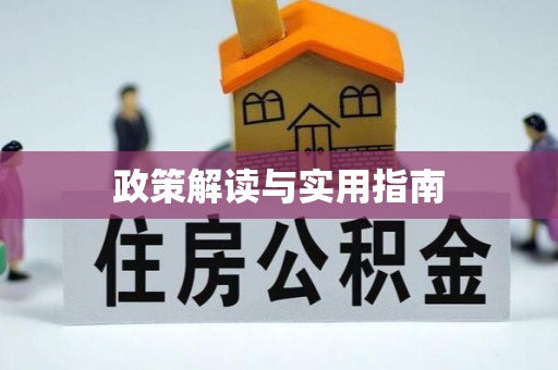 东明政策解读与实用指南