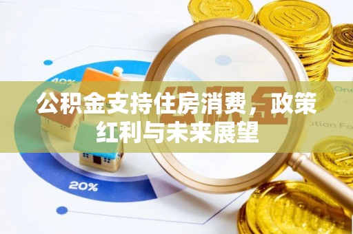 东明公积金支持住房消费，政策红利与未来展望