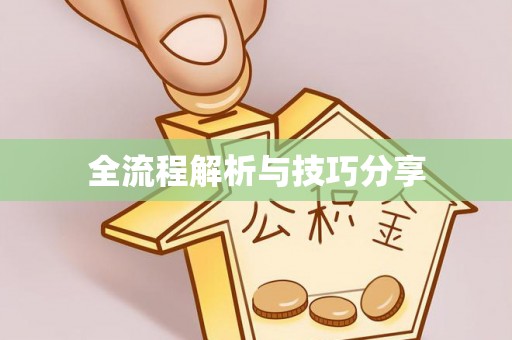 东明全流程解析与技巧分享